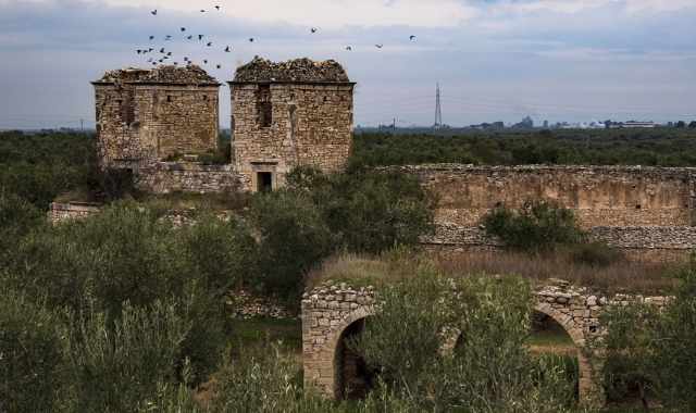 Molfetta, tra fantasmi e spietate esecuzioni la storia della solitaria Masseria Navarino